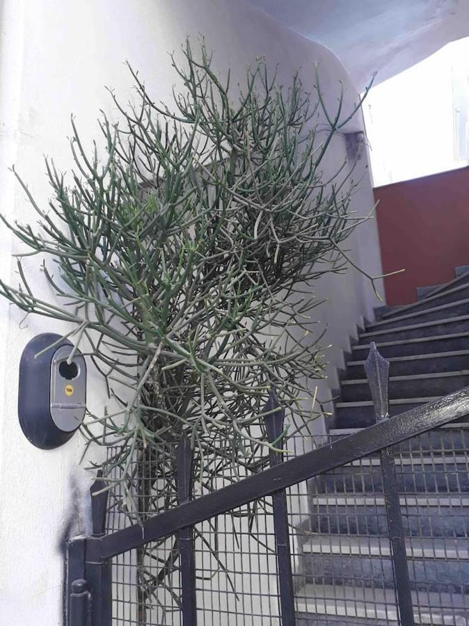 Cozy Studio In Central Location Of Heraklion Heraclión Exterior foto